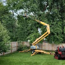 Best Pest Control for Lawns  in North Las Vegas, NV